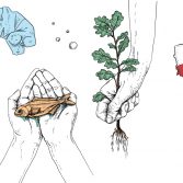 Manifest Klimatyczny