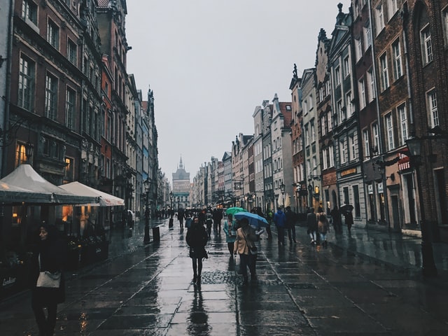Gdańsk ogrody deszczowe