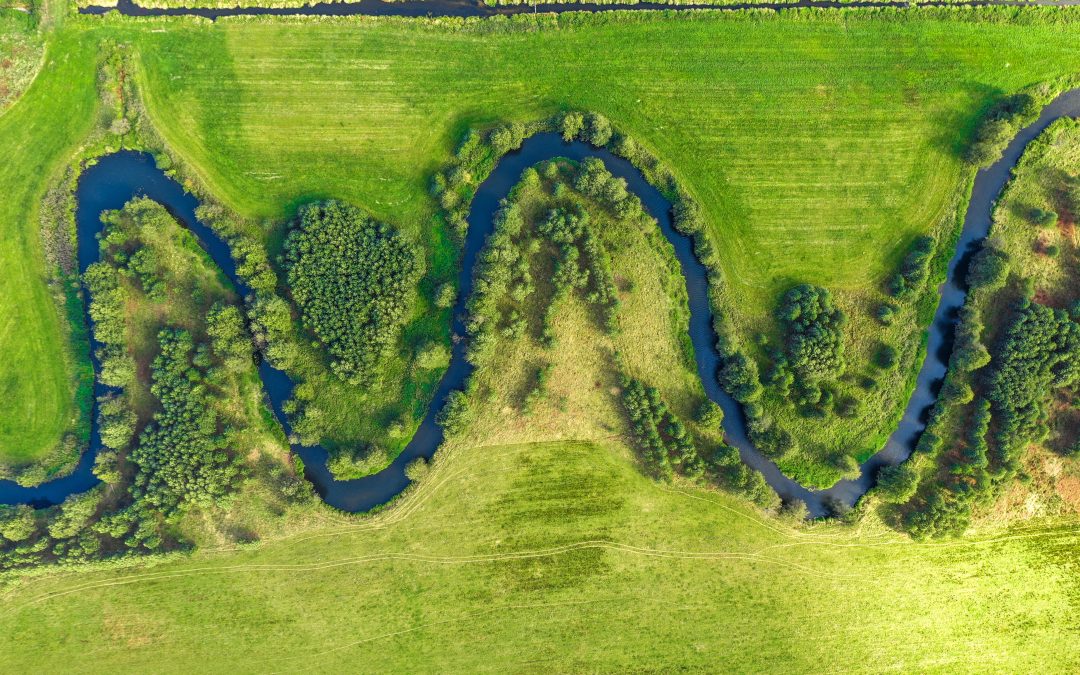 Water quality in Poland state as of 2021 » Sztuka Ochrony Wód